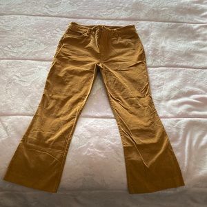 Halogen X Atlantic Pacific Velour Pants in size 8